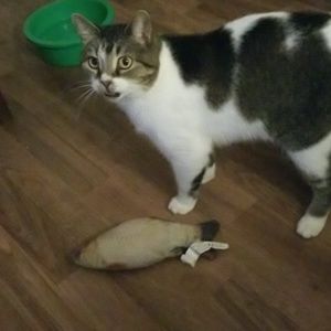 Meet your Posher, Sherrie